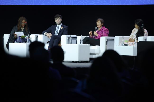 A view of the panel
