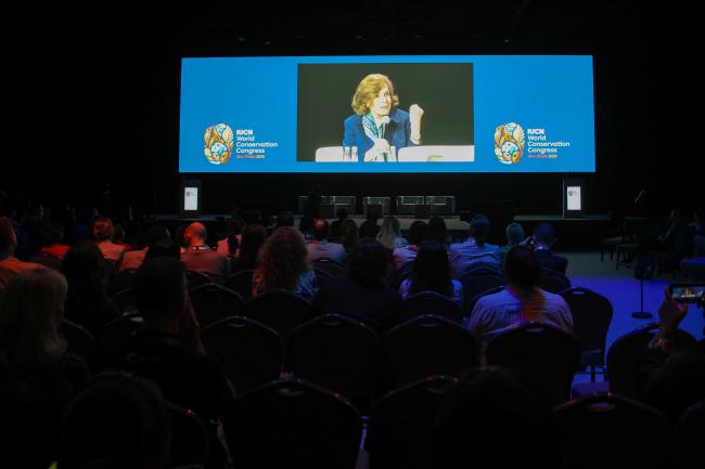 Participants watch a wrap-up video of the Forum events. 