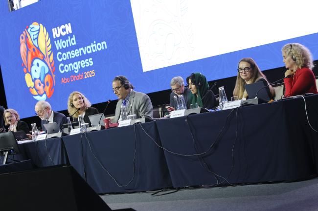 A view of the panel 
