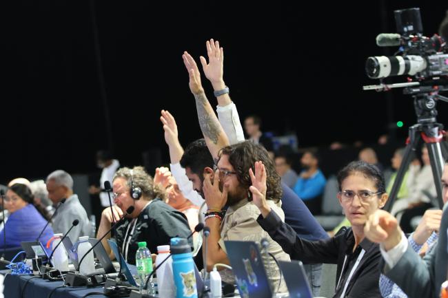A participants raises their hand to ask for the floor.