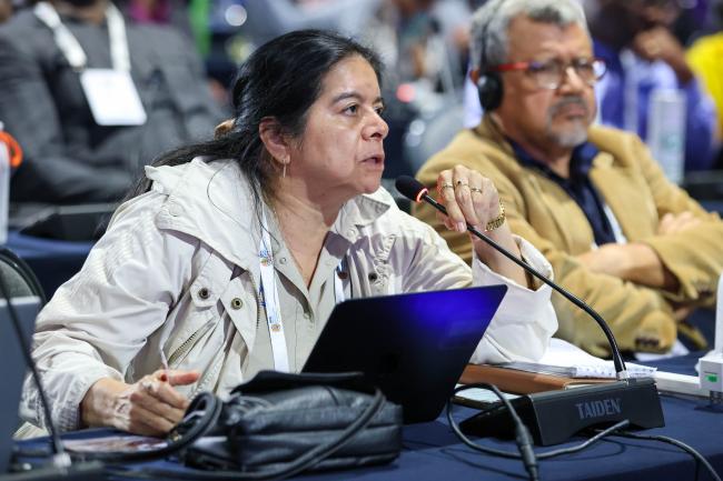 Lilian Yvonne Ramírez Matías, Fundación para la Conservación de los Recursos Naturales y Ambiente en Guatemala (FCG), Guatemala