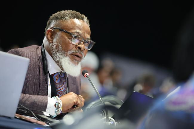 Sydney Nkosi, Ministry of Forestry and the Environment, South Africa 