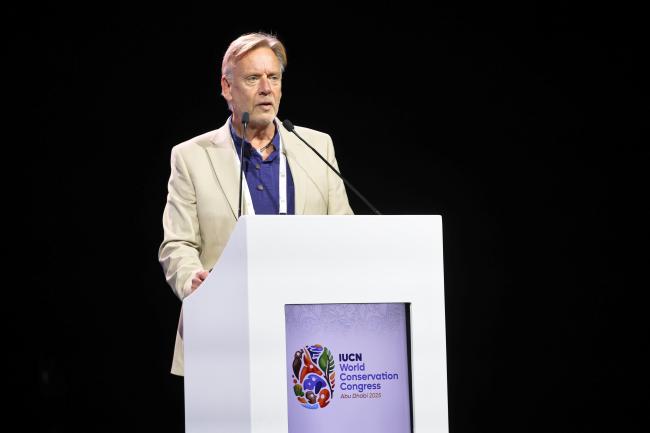 Chris Mahon, Chair, Global Group for National and Regional Committee Development