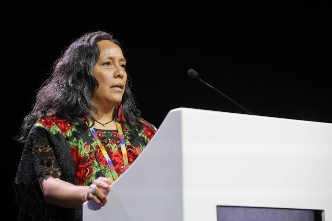 Anita Tzec, Senior Programme Manager, Indigenous Peoples and Conservation, IUCN 
