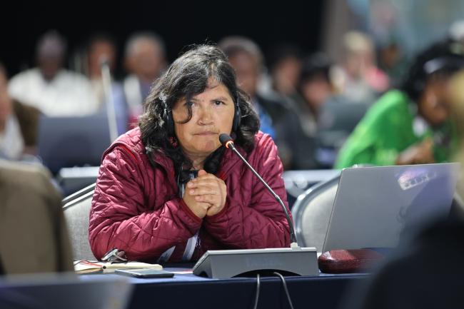 Ana Mariscal, Fundación Cambugán, Ecuador