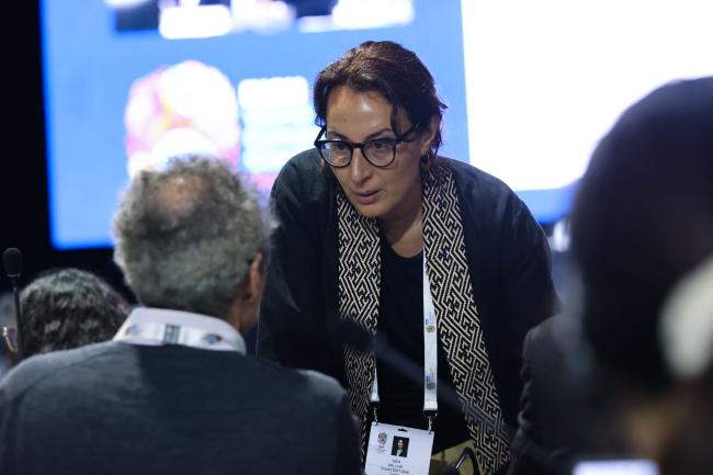 Imèn Meliane, Vice-President, IUCN