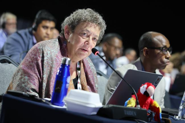 Susan Lieberman, Vice-President, International Policy, Wildlife Conservation Society (WCS) 