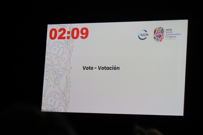 Timer on the screen shows the remaining time to vote 