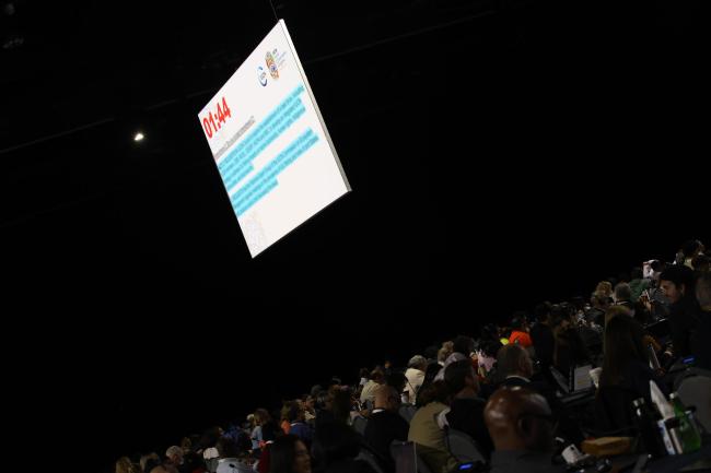 ENB - IISD - Anastasia Rodopoulou - IUCN World Congress - 15Oct2025 