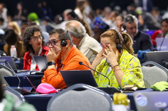 Participants 