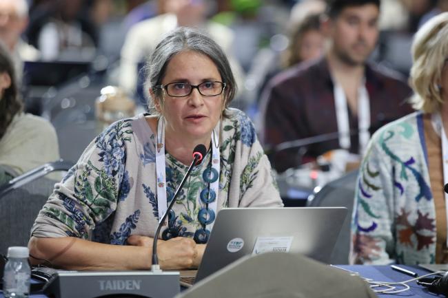 Jojo Mehta, Stop Ecocide International, United Kingdom 