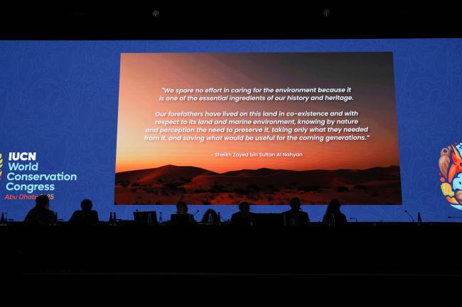 Video by the UAE 