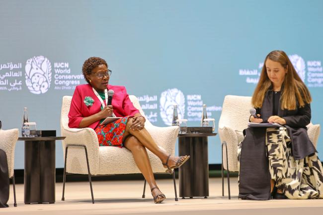 Elizabeth Maruma Mrema, Deputy Executive Director, UN Environment Programme