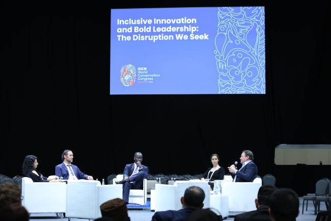 View of the panel during Th5 