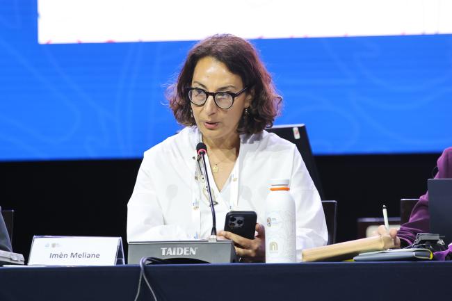 Imèn Meliane, Vice-President, IUCN 