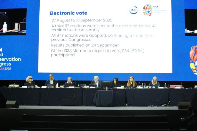 A view of the panel 