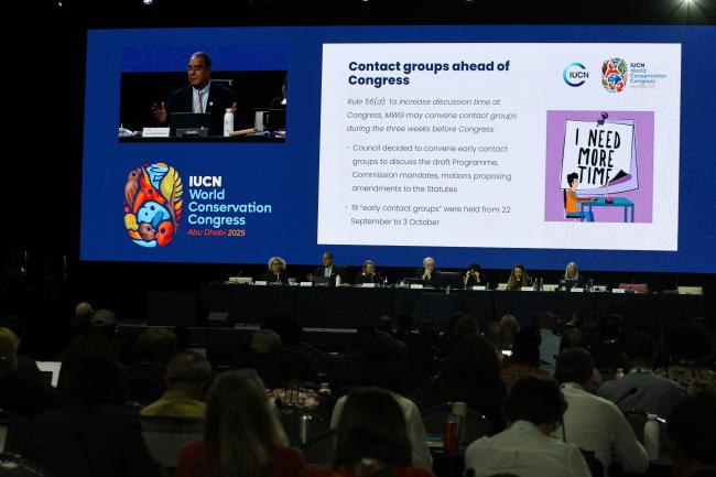 A slide showing the Contact Groups ahead of the Congress 