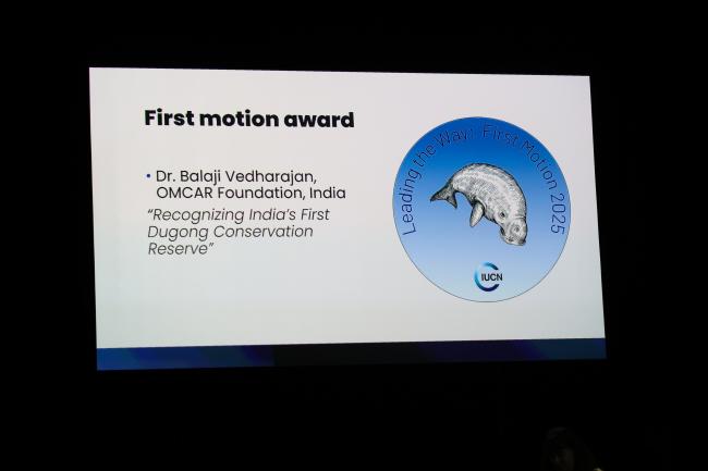 First Motion Award 