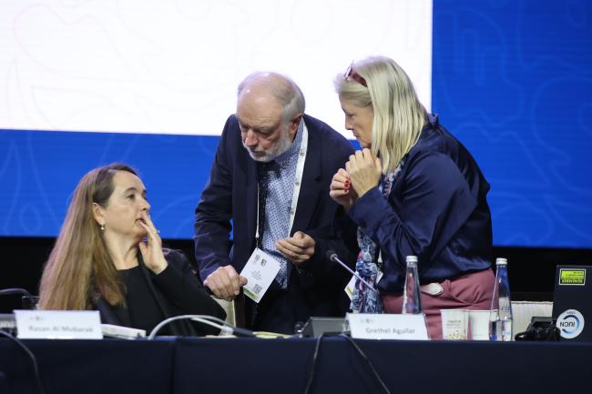 Grethel Aguilar, Director-General, IUCN, consults with members of IUCN Secretariat 