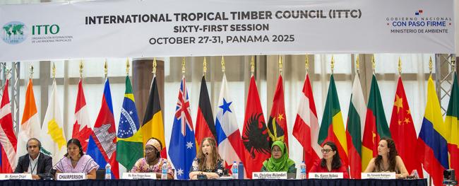 First Panel Joint Committee - ITTC61 - 28Oct2025