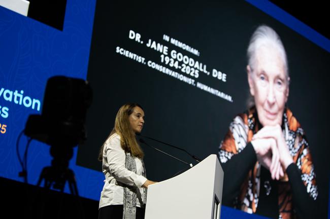 Grethel Aguilar, IUCN Director General - A tribute to Jane Goodall - IUCN-World Conservation Congress 2025- 10Oct2025