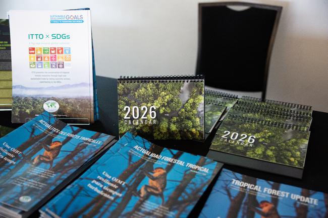 ITTO Calendar - ITTC61 - 28Oct2025