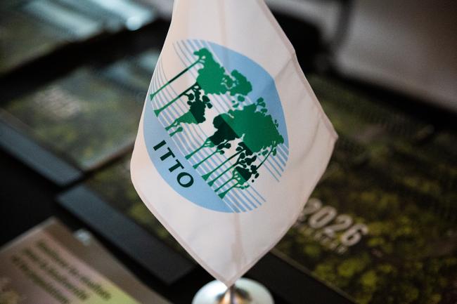 ITTO Flag - ITTC61 - 28Oct2025
