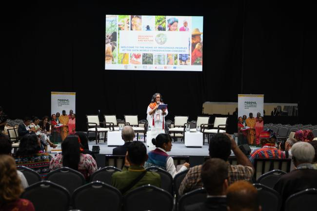 Anita Tzec, Maya Yucatec leader and Senior Programme Officer on Indigenous Peoples and Conservation at IUCN