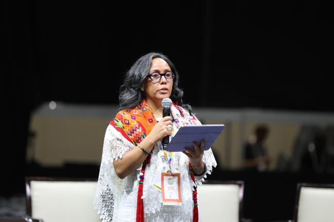 Anita Tzec, Maya Yucatec leader and Senior Programme Officer on Indigenous Peoples and Conservation, IUCN