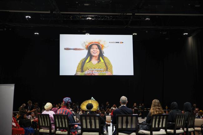 Sônia Guajajara, Minister of Native People, Brazil