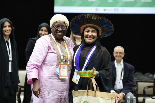 Lucy Mulenkei, Co-Chair, IIFB, and Executive Director, IIN, and Puyr Tembé, First Secretary, Indigenous Peoples of the State of Pará