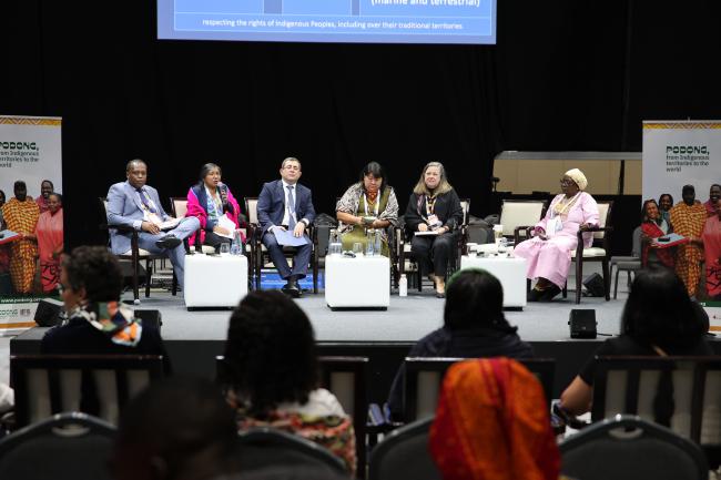 View of the panel during a session on Indigenous Leadership in Global Policy