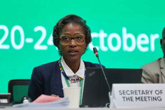 SBSTTA 27 Secretary Sakhile Silitshena Koketso