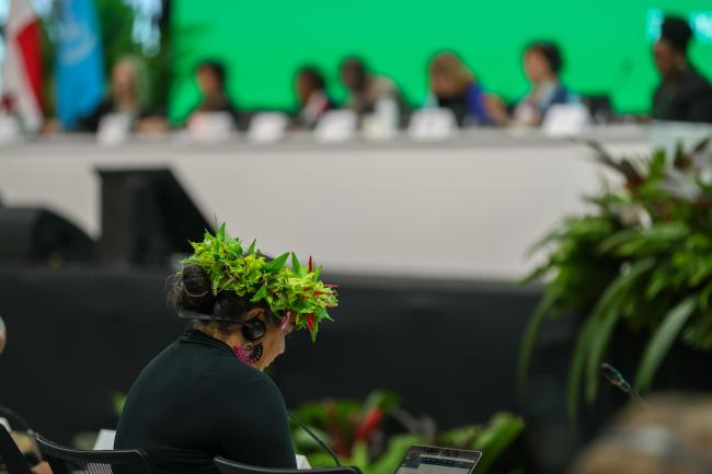 Plenary