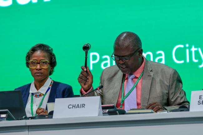 SBSTTA 27 Secretary Sakhile Silitshena Koketso, with SBSTTA Chair Jean Bruno Mikissa, Gabon