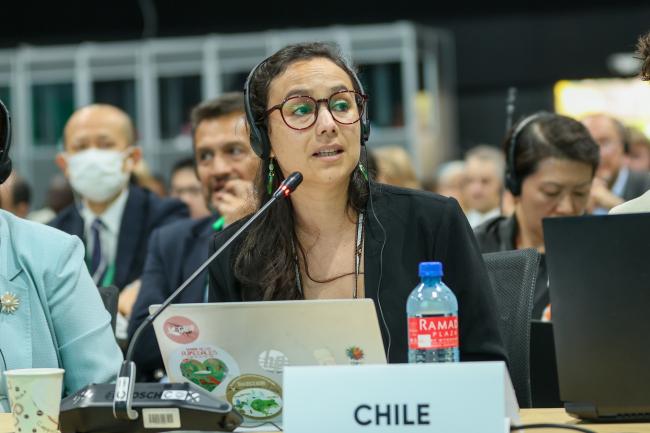 Paulina Stowhas, Chile