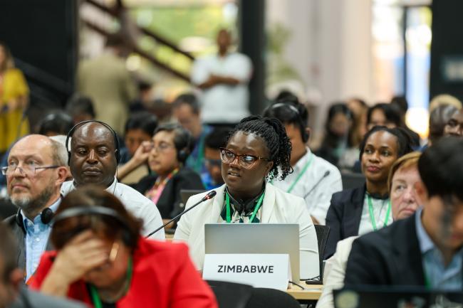 Nobesuthu Adelaide Ngwenya, Zimbabwe