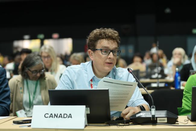 Sylvain Gatti, Canada