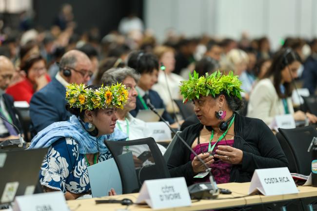 Plenary