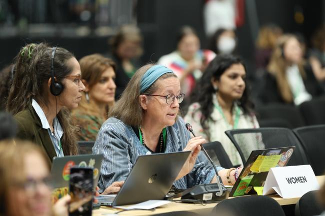 Cristina Eghenter, Women's Caucus