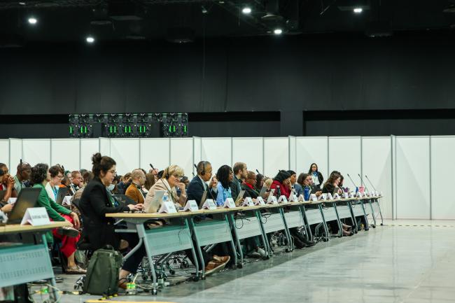 Plenary