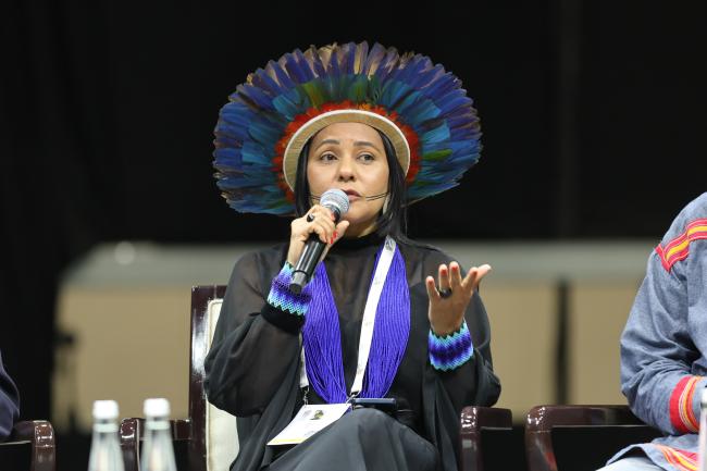 Puyr Tembé, First Secretary, Indigenous Peoples of the State of Pará, Brazil
