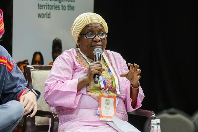 Lucy Mulenkei, Co-Chair, International Indigenous Forum on Biodiversity (IIFB) and Executive Director, Indigenous Information Network (IIN)
