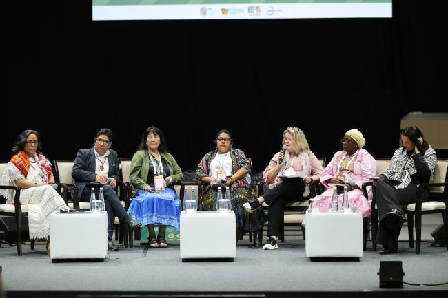 View of the panel during the session