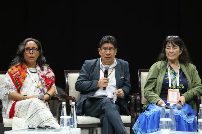 From L-R: Anita Tzec, Maya Yucatec leader and Senior Programme Officer on Indigenous Peoples and Conservation, IUCN; Ramiro Batzin, Co-Chair, IIFB, and Vice President and advisor to the IUCN; and Andrea Carmen, Executive Director, International Indian Treaty Council