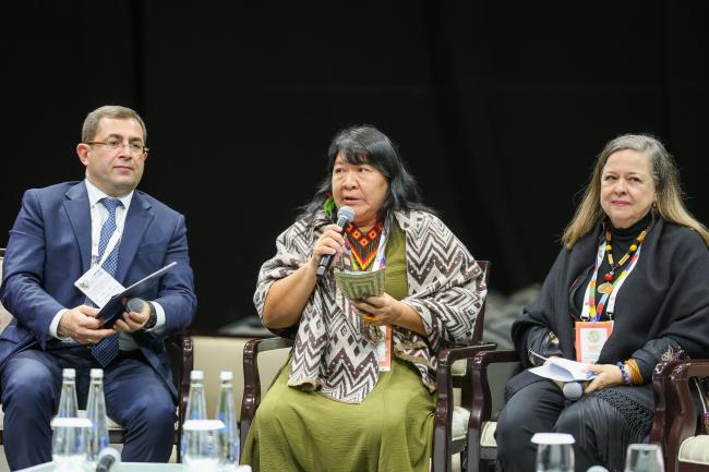 From L-R: Ambassador Mher Margaryan, Permanent Mission of Armenia to the UN; Joênia Wapichana, former Member of the Chamber of Deputies, Brazil; and Adriana Gonçalves Moreira, Lead, Partnerships Division, GEF
