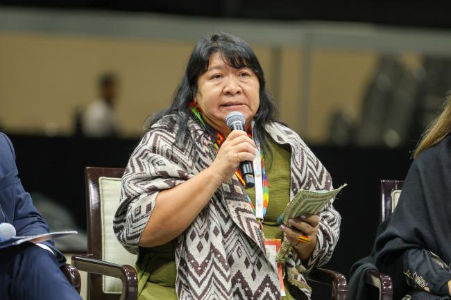 Joênia Wapichana, former Member of the Chamber of Deputies, Brazil