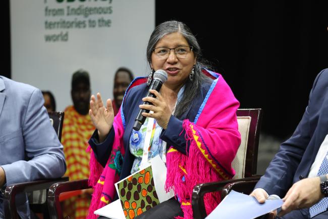 Viviana Figueroa, International Indigenous Women Biodiversity Network