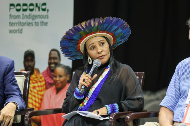 Puyr Tembé, First Secretary, Indigenous Peoples of the State of Pará, Brazil