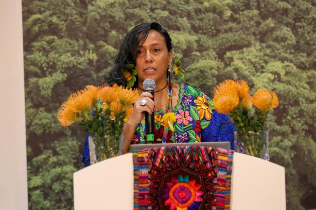 Anita Tzec, Maya Yucatec leader and Senior Programme Officer on Indigenous Peoples and Conservation, IUCN